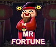 Mr. Fortune