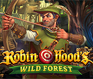 Robin Hood`s Wild Forest